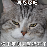 再忍忍吧说，不定明天就猝死了