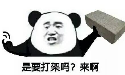 是要打架吗？来啊