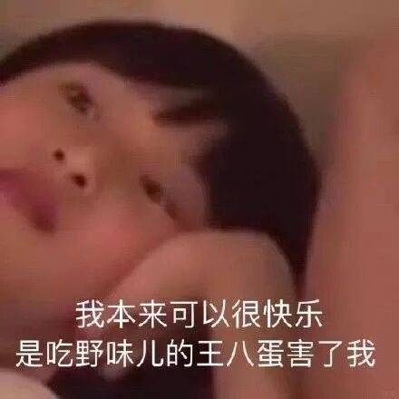 我本来可以很快乐，是吃野味儿的王八蛋害了我