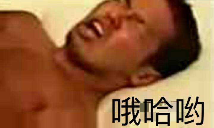 哦哈哟