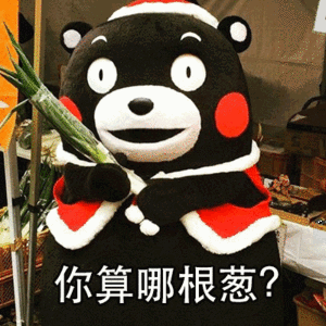 你算哪根葱？