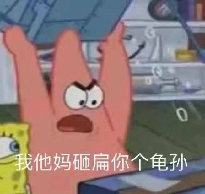 我他妈砸扁你个龟孙