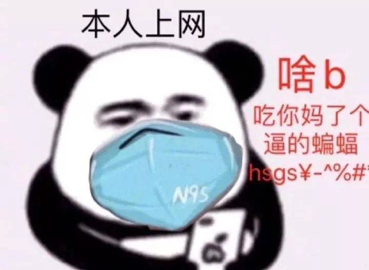 本人上网