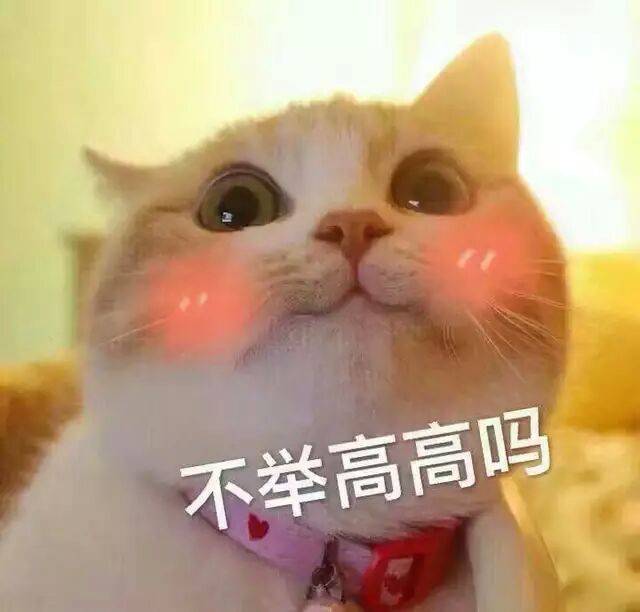 不举高高吗