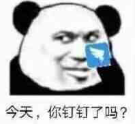 今天，你钉钉了吗？