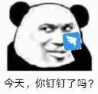 今天，你钉钉了吗？