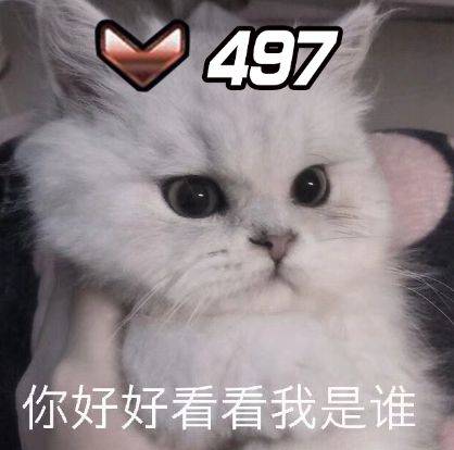 你好好看看我是谁