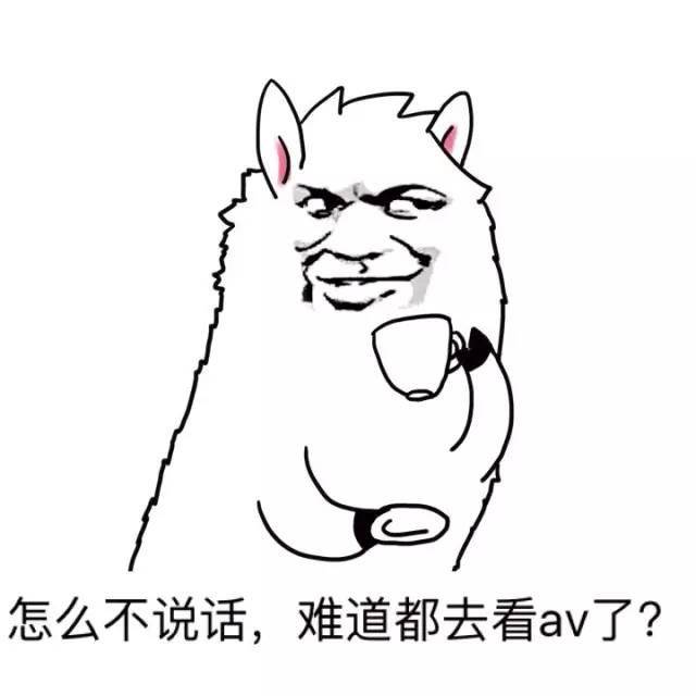 怎么不说话，难道都去看av了？