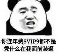 你连年费SVIP9都不是，凭什么在我面前装逼