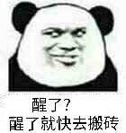 醒了？了就快去搬砖