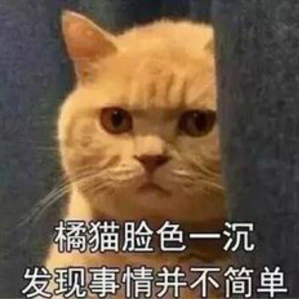 橘猫脸色一沉，发现事情并不简单