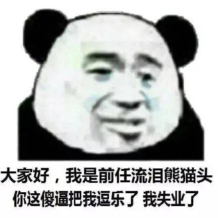 大家好，我是前任流泪熊猫头，你这傻逼把我逗乐了我失业了