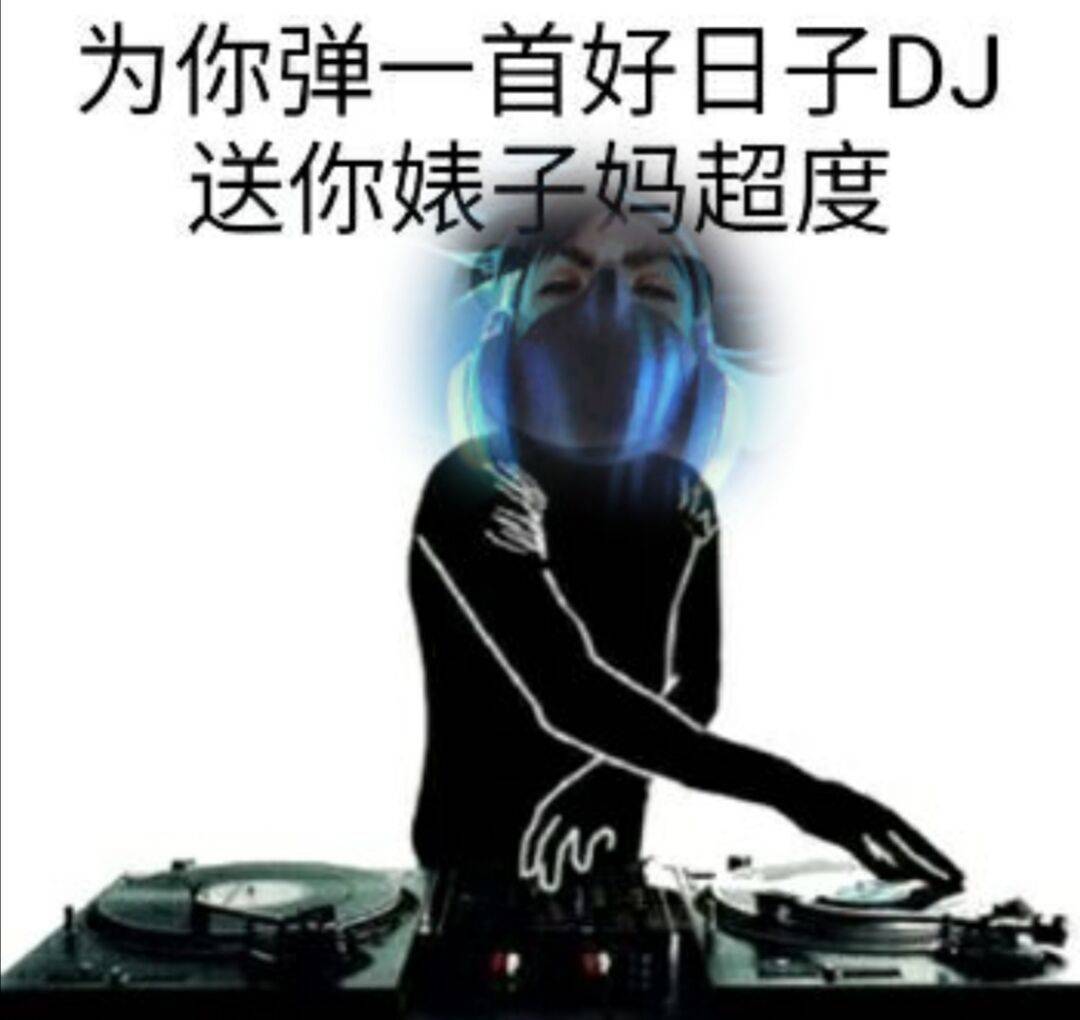 为你弹一首好日子DJ,送你婊子妈超度