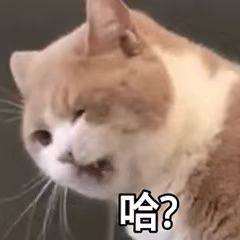 哈？