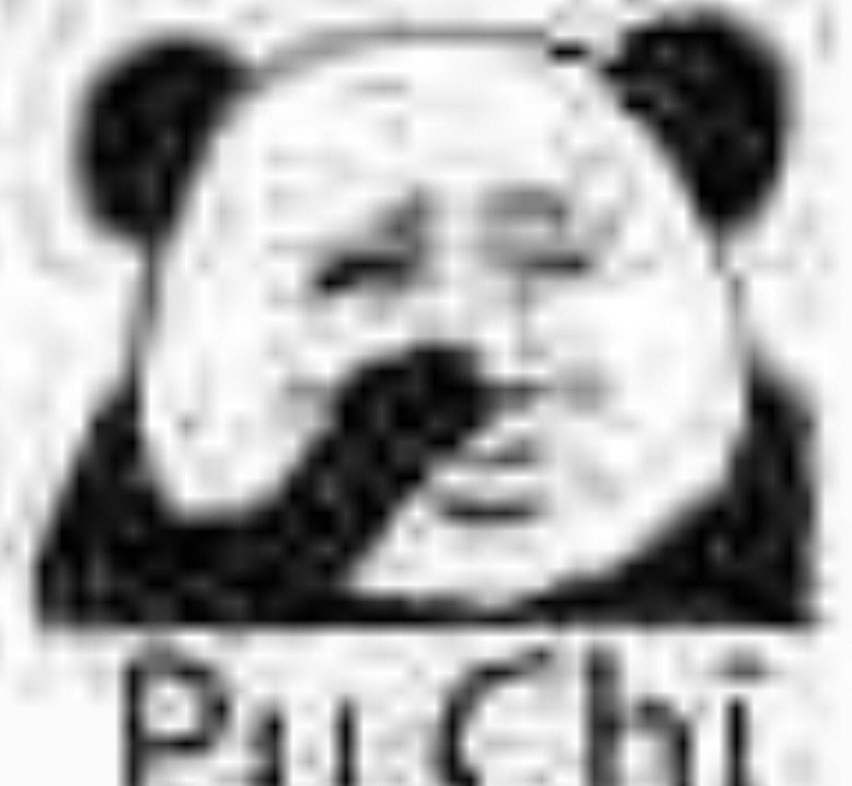 puchi