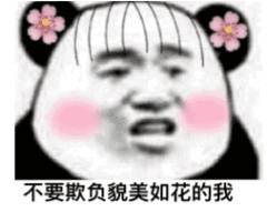 不要欺负貌美如花的我