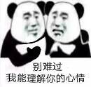 别难过，我能理解你的心情
