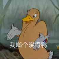 我啷个晓得鸭