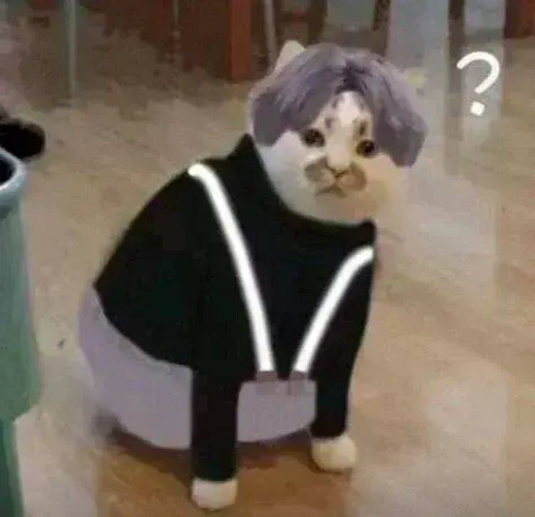 猫猫打篮球