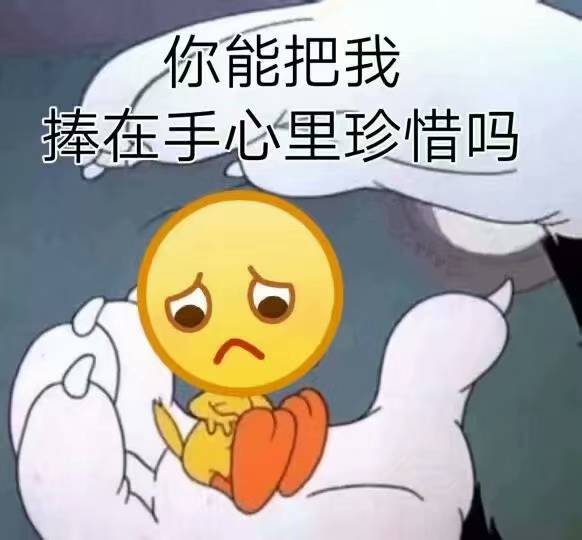 你能把我捧在手心里珍惜吗