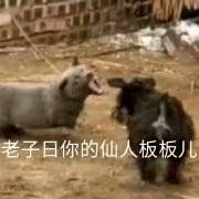 老子日你的仙人板板