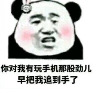 你对我有玩手机那股劲儿，早把我追到手了