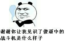 谢谢你让我见识了，傻逼中的战斗机是什么样子
