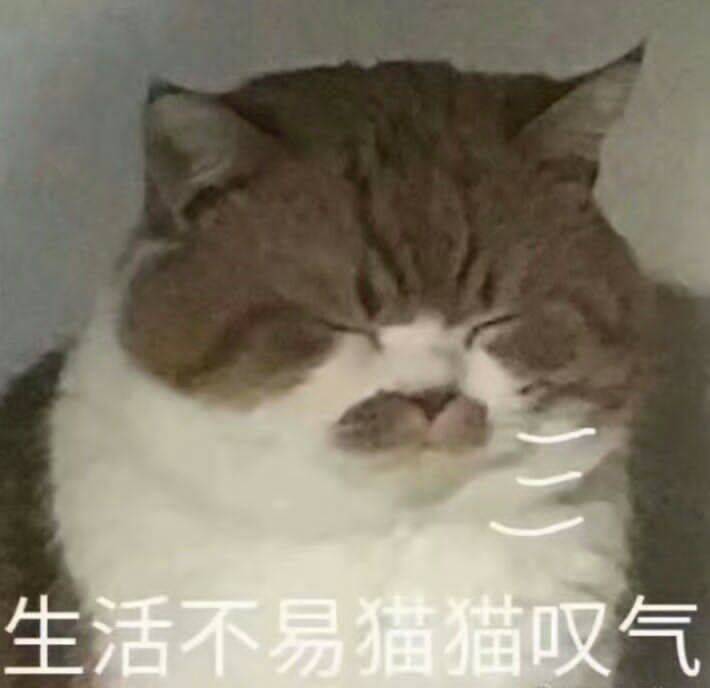 生活不易猫猫叹气