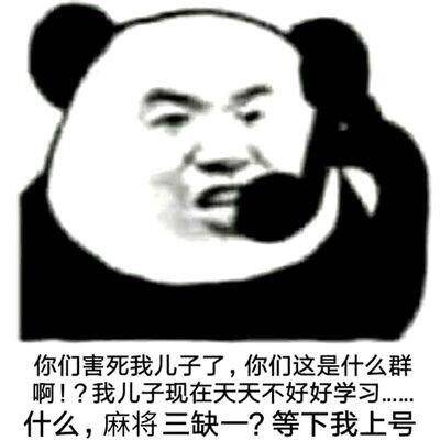 你们害死我儿子了，你们这是什么群啊！？我儿子现在天天不好好学习什么，麻将三缺一？等下我上号