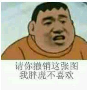 请你撤销这张图，我胖虎不喜欢