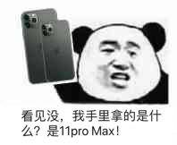 看见没，我手里拿的是什么？是11 pro Max！