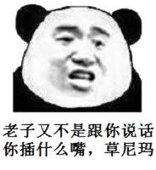 老子又不是跟你说话，你插什么嘴，草尼玛