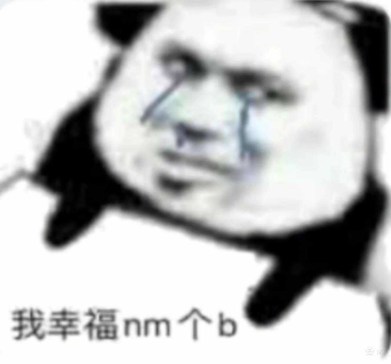 我幸福nm个b