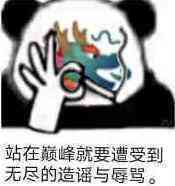 站在巅峰就要遭受到无尽的造谣与辱骂。