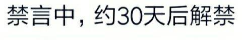 禁言中，约30天后解禁