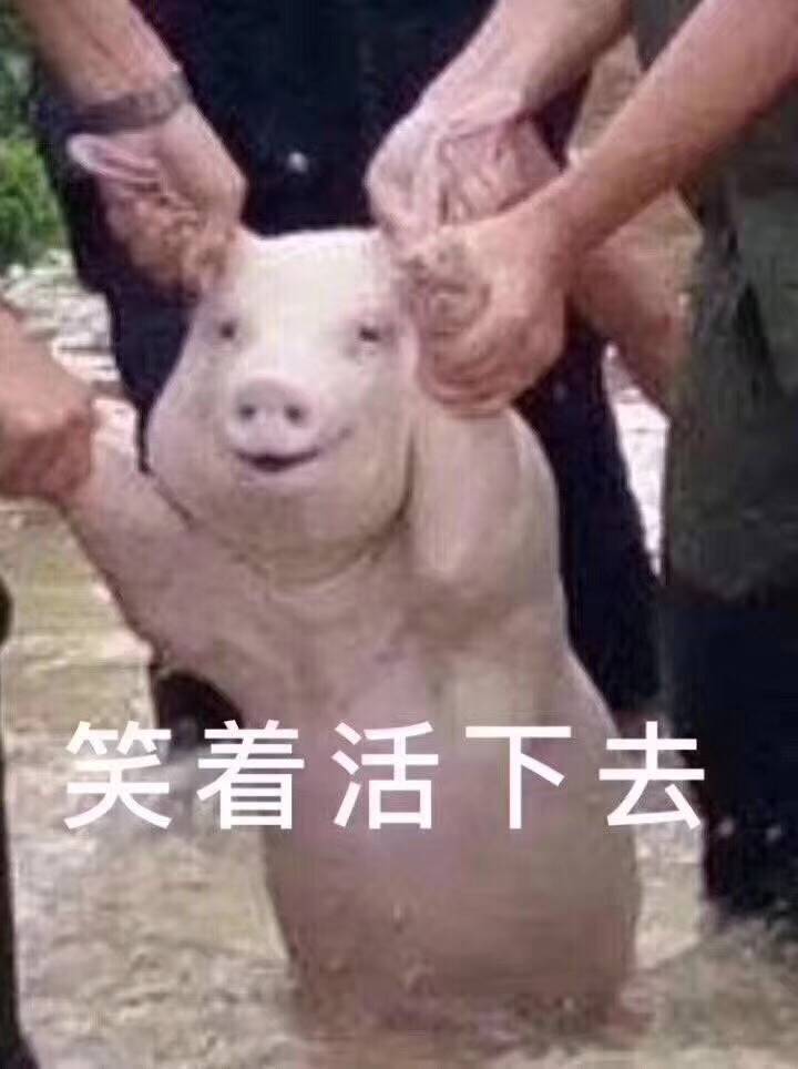 笑着活下去