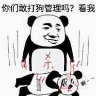 你们敢打狗管理吗？看我