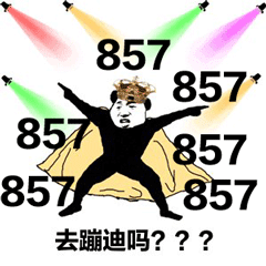 去蹦迪吗？