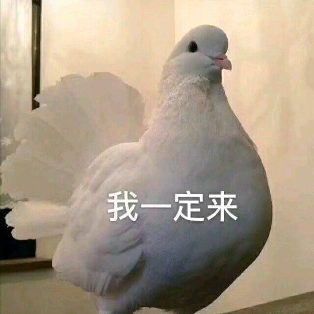 我一定来