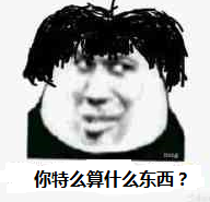 你特么算什么东西？