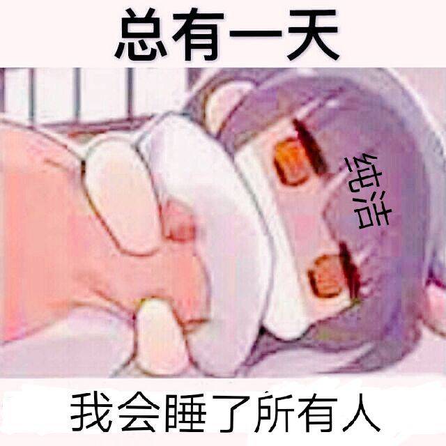 总有一天我会睡了所有人