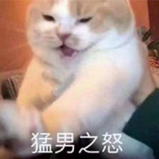 猛男之怒