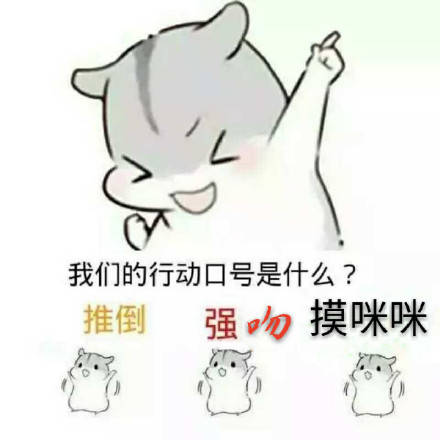 我们的行动口号是什么？推倒强行摸咪咪