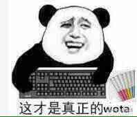 这才是真正的wota