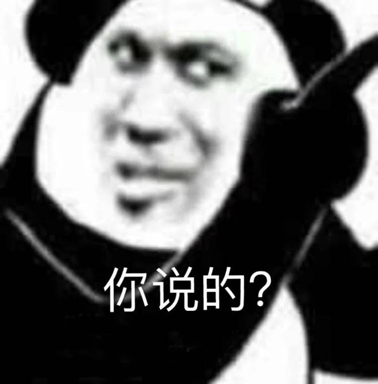 你说的？