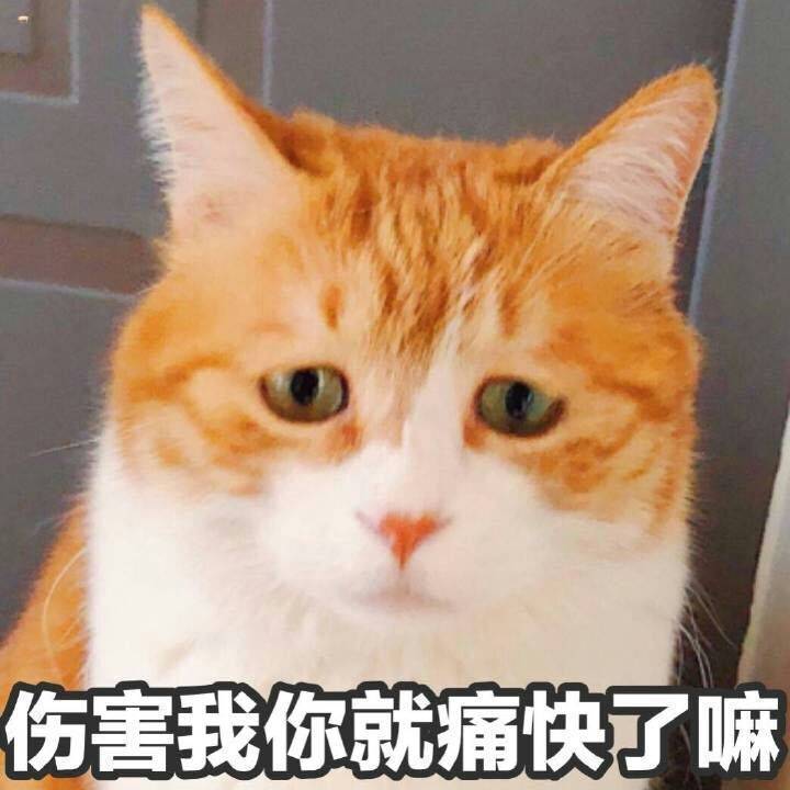 伤害我你就痛快了嘛