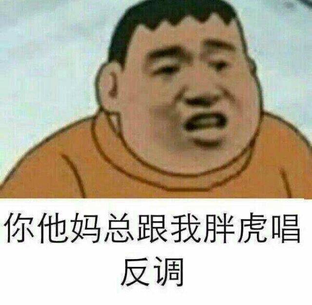 你他妈总跟我胖虎唱反调