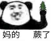 妈的蕨了