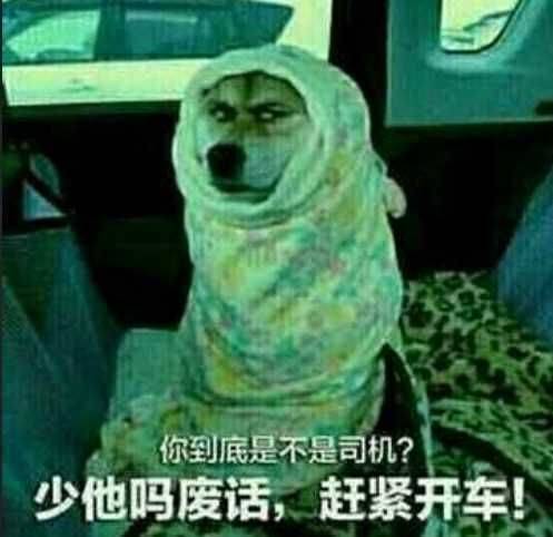 喝你到底是不是司机？少他吗度话，赶紧开车！