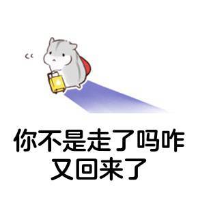 你不是走了吗？咋又回来了